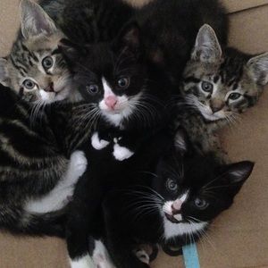 Meet your Posher, Skyler bridget